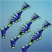 Molecular Biology Product