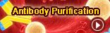 Antibody purification