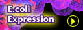 Prokaryotic expression