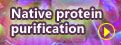 Native protein purification