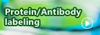 Nucleic acid extraction and purification 