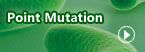 Point Mutation