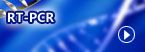 RT-PCR