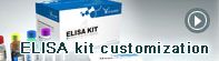 ELISA kit customization service