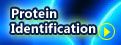 Protein Identification