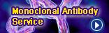 Monoclonal Antibody Service