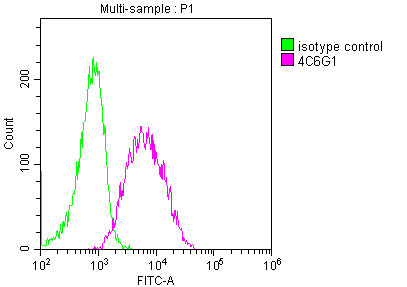 CD19 Monoclonal Antibody - image 4