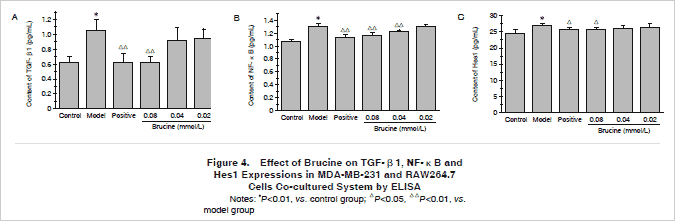 Effect of Brucine on TGF-β1, NF-κB and Hes1 Expressions in MDA-MB-231 and RAW264.7 Cells Co-cultured System by 
ELISA