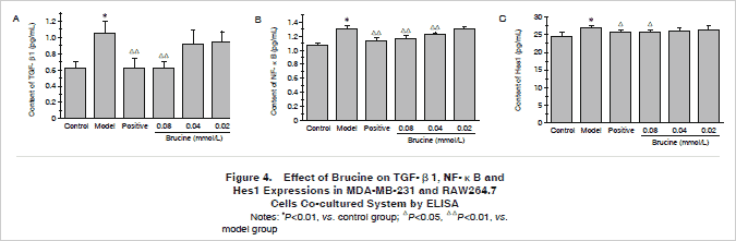 Effect of Brucine on TGF-β1, NF-κB and Hes1 Expressions in MDA-MB-231 and RAW264.7 Cells Co-cultured System by 
ELISA