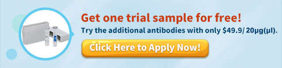 Free Antibody trial simple