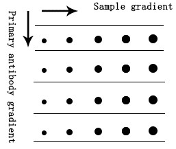 Dot Blot