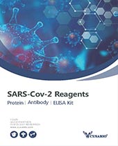 Exosome Isolation Kit brochure