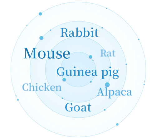 Antibody Host Species Options 01