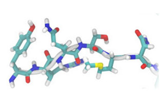 Antibody Immunogen Options Peptide