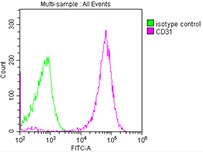 Overlay histogram of NES antibody