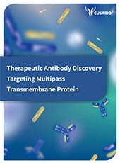 Therapeutic Antibody Discovery Targeting Multipass Transmembrane Protein
