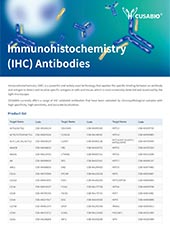 Immunohistochemistry (IHC) Antibodies