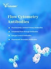 Flow Cytometry Antibodies