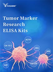 Tumor Marker Research ELISA Kits