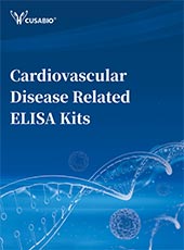 Cardiovascular Disease Related ELISA Kits