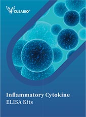 Inflammatory Cytokine ELISA Kits