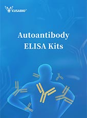 Antibody Service Brochure