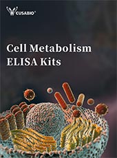 Cell Metabolism ELISA Kits