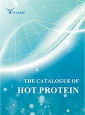 Hot Protein