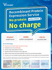 Recombinant Protein Expression Service