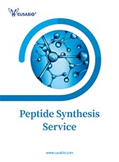 Peptide Synthesis Service