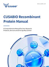 Recombinant Protein Manual