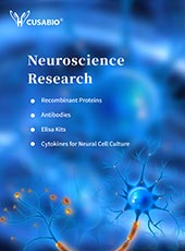 Neuroscience Research