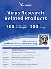 Virus Research
