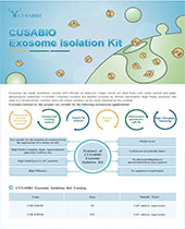 Exosome Isolation Kit brochure