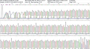 Gene Synthesis case {GGGTTA}42