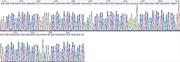 Gene Synthesis case {GGTCCTCCGCCTCCTCCACCTC}6