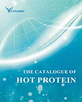 Hot protein brochure