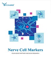 nerve cell marker brochure