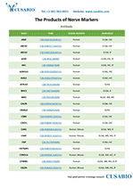 nerve cell marker catalog