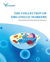 Organelle Markers brochure