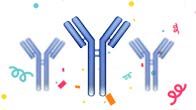 High-quality MYC-tag Antibody