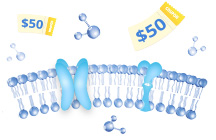 Transmembrane Protein Questionnaire with Gifts