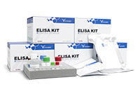 Save $30 on 96T Promotional ELISA Kits