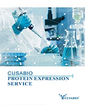 CUSABIO protein service