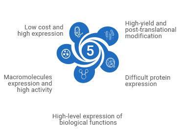 5 protein expression systems