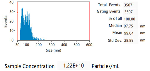 VLP-CLDN6 ELISA