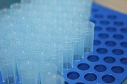 Antibody ABTAA alters tumor blood vessels