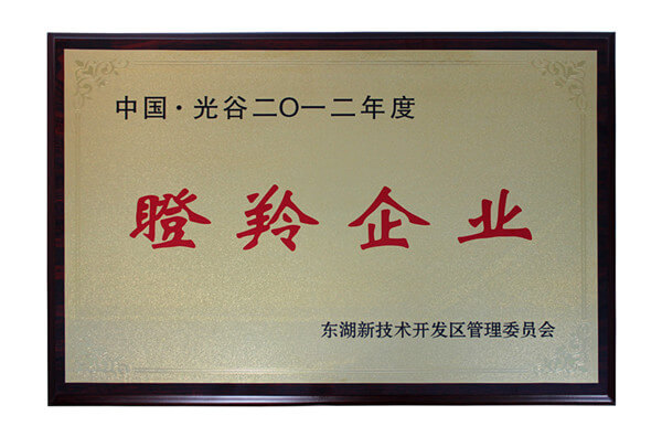 CUSABIO rewarded as the "2012 Gazelle Enterprise" of Wuhan East Lake High-tech Zone