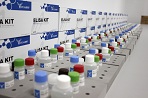 11 tips for choosing your right ELISA kit