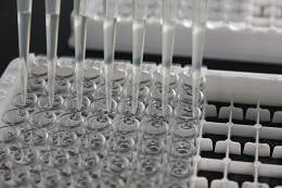 A drug candidate holds promise in treating autism